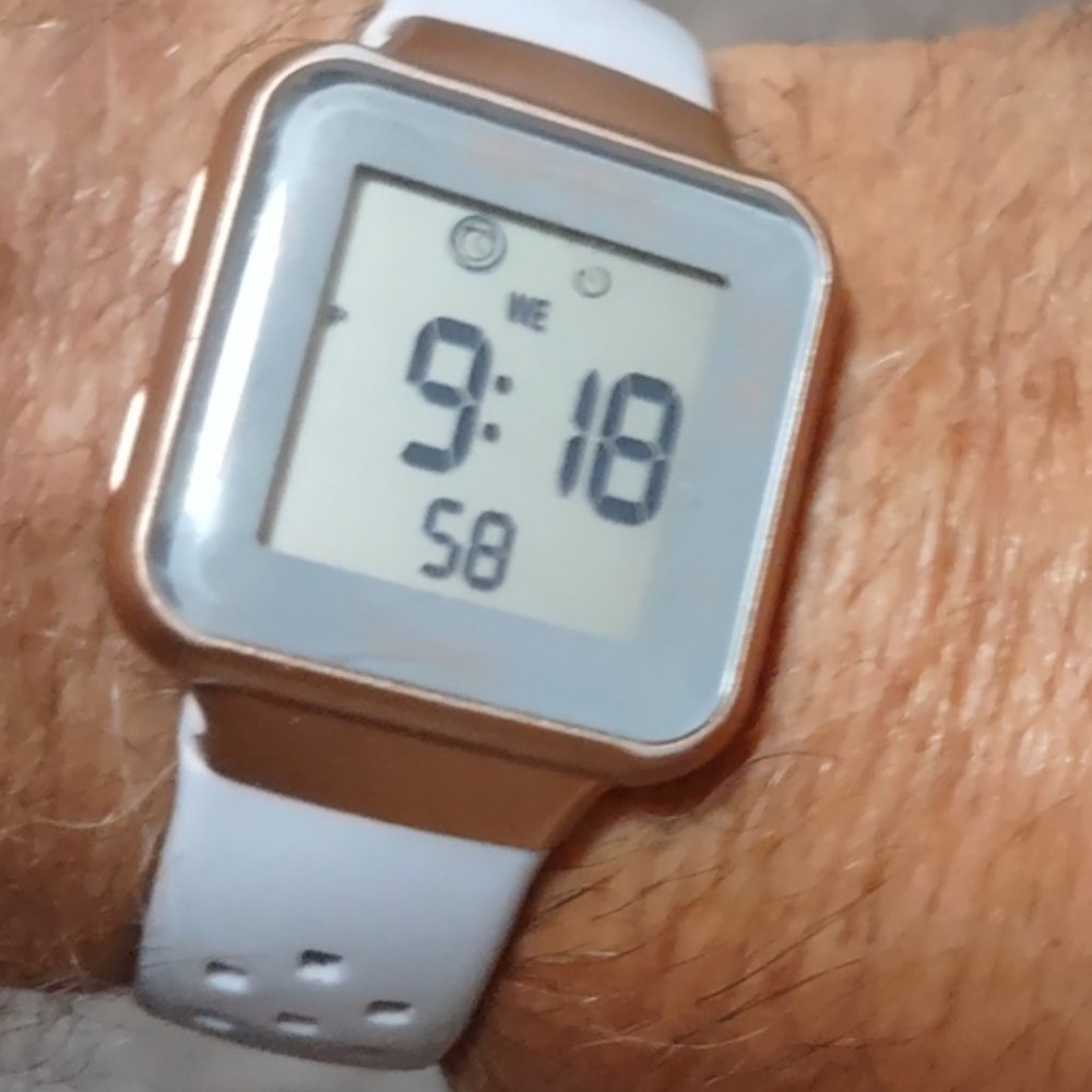 Armitron Sport Unisex Digital Chronograph Silicone Strap Watch
